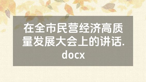 在全市民营经济高质量发展大会上的讲话.docx