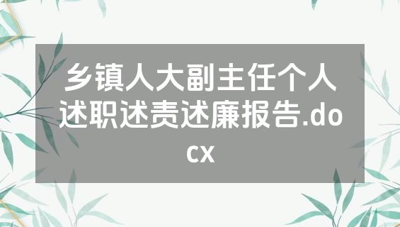 乡镇人大副主任个人述职述责述廉报告.docx