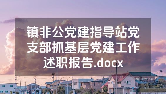 镇非公党建指导站党支部抓基层党建工作述职报告.docx