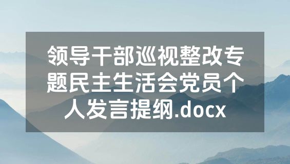 领导干部巡视整改专题民主生活会党员个人发言提纲.docx