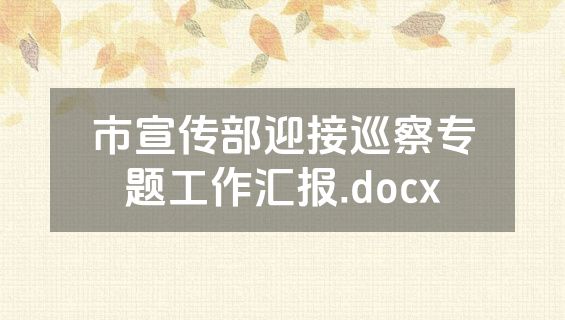 市宣传部迎接巡察专题工作汇报.docx