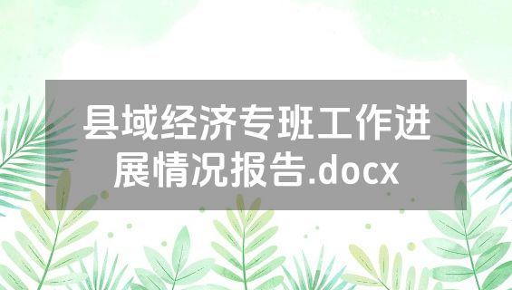 县域经济专班工作进展情况报告.docx