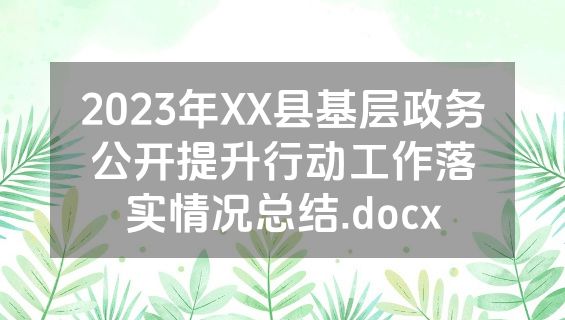 2023年XX县基层政务公开提升行动工作落实情况总结.docx