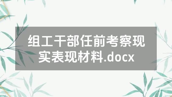 组工干部任前考察现实表现材料.docx