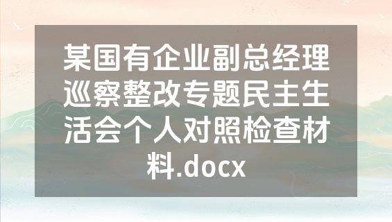 某国有企业副总经理巡察整改专题民主生活会个人对照检查材料.docx