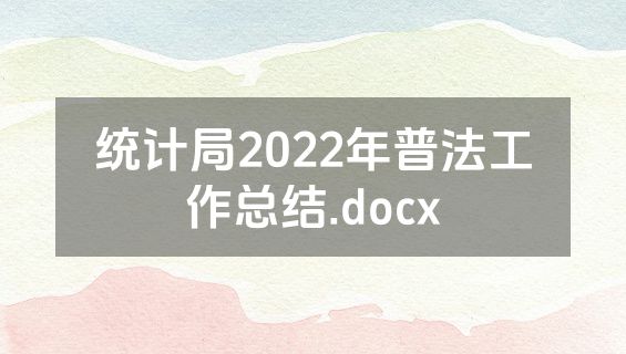 统计局2022年普法工作总结.docx