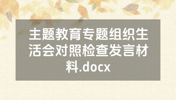 主题教育专题组织生活会对照检查发言材料.docx