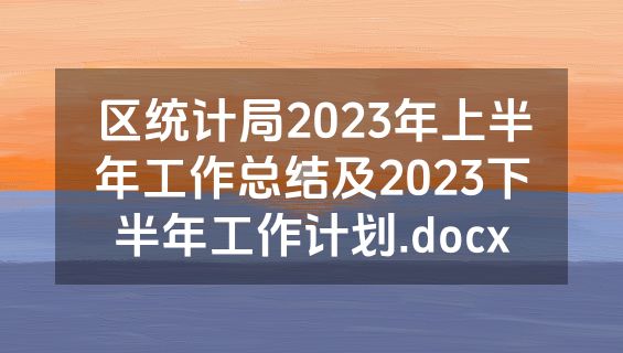 区统计局2023年上半年工作总结及2023下半年工作计划.docx