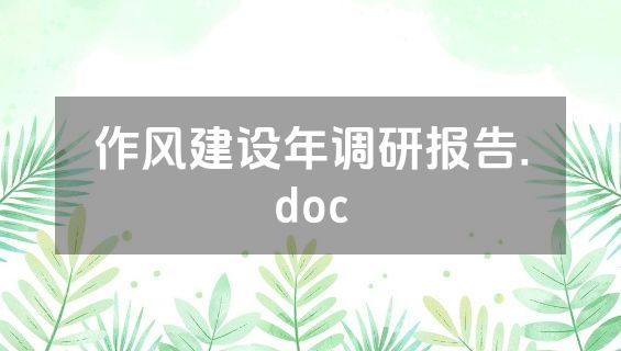 作风建设年调研报告.doc