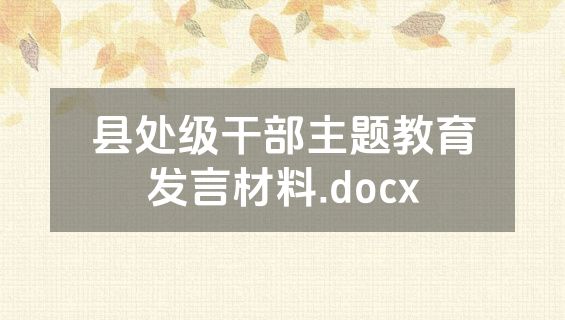 县处级干部主题教育发言材料.docx
