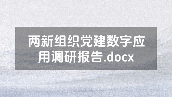 两新组织党建数字应用调研报告.docx