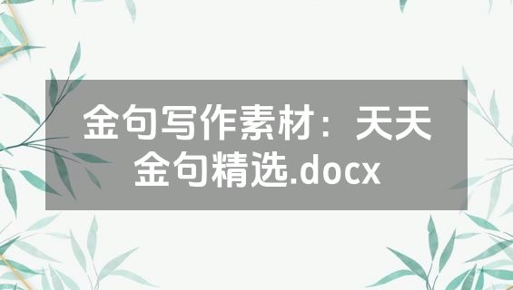 金句写作素材：天天金句精选.docx