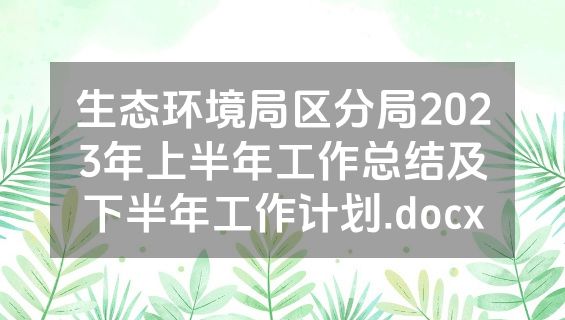 生态环境局区分局2023年上半年工作总结及下半年工作计划.docx