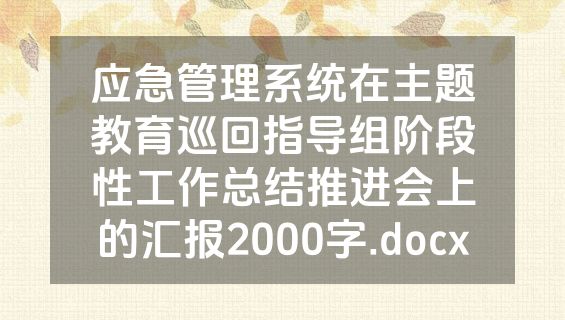 应急管理系统在主题教育巡回指导组阶段性工作总结推进会上的汇报2000字.docx