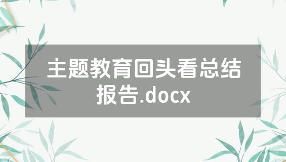 主题教育回头看总结报告.docx