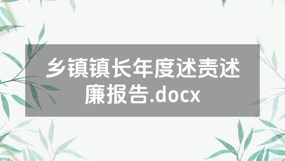 乡镇镇长年度述责述廉报告.docx