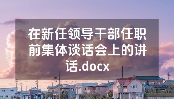 在新任领导干部任职前集体谈话会上的讲话.docx