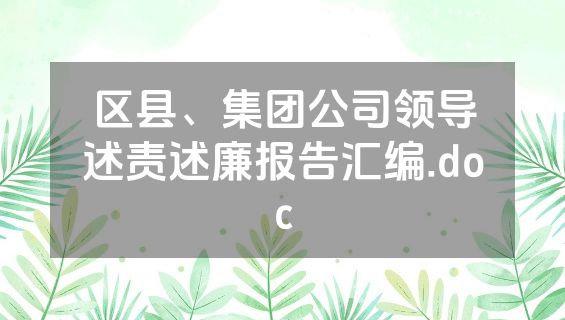 区县、集团公司领导述责述廉报告汇编.doc