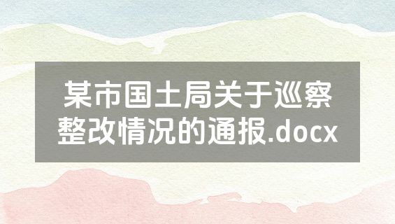 某市国土局关于巡察整改情况的通报.docx