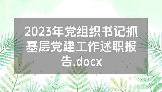 2023年党组织书记抓基层党建工作述职报告.docx