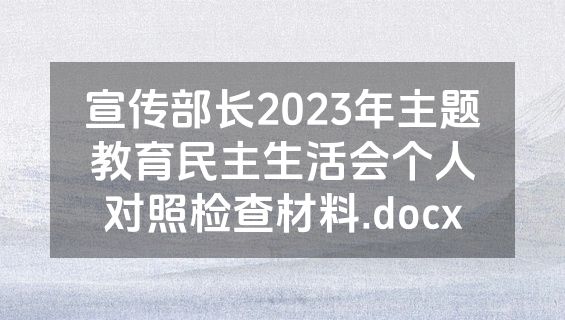宣传部长2023年主题教育民主生活会个人对照检查材料.docx