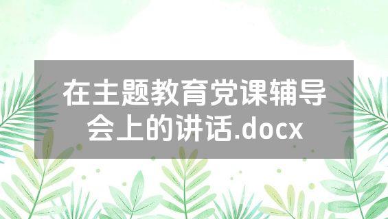 在主题教育党课辅导会上的讲话.docx