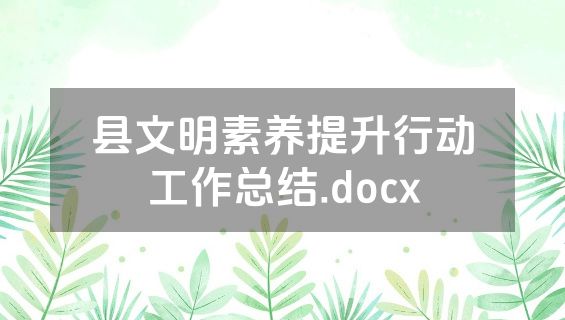 县文明素养提升行动工作总结.docx