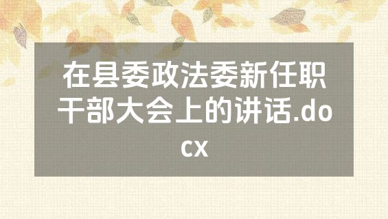 在县委政法委新任职干部大会上的讲话.docx