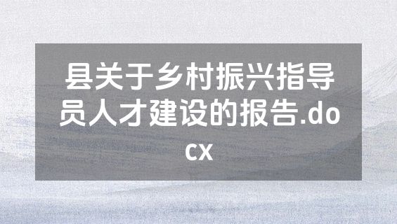 县关于乡村振兴指导员人才建设的报告.docx