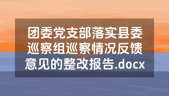 团委党支部落实县委巡察组巡察情况反馈意见的整改报告.docx