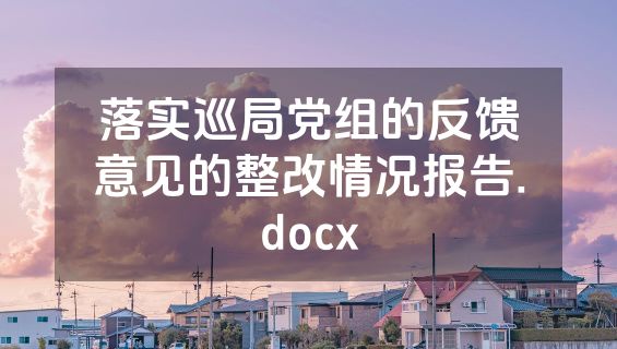 落实巡局党组的反馈意见的整改情况报告.docx