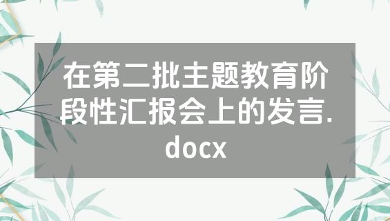 在第二批主题教育阶段性汇报会上的发言.docx
