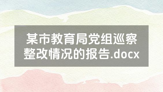 某市教育局党组巡察整改情况的报告.docx