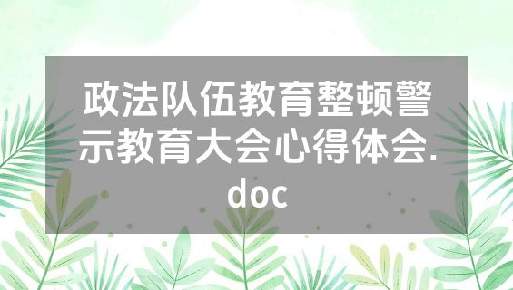 政法队伍教育整顿警示教育大会心得体会.doc
