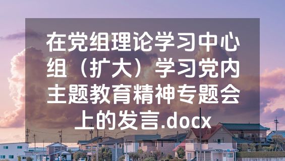 在党组理论学习中心组（扩大）学习党内主题教育精神专题会上的发言.docx