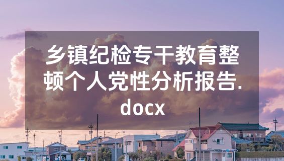 乡镇纪检专干教育整顿个人党性分析报告.docx