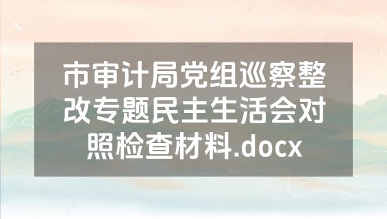 市审计局党组巡察整改专题民主生活会对照检查材料.docx