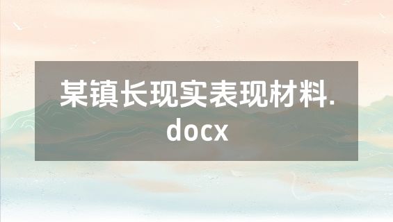 某镇长现实表现材料.docx