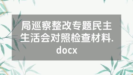 局巡察整改专题民主生活会对照检查材料.docx