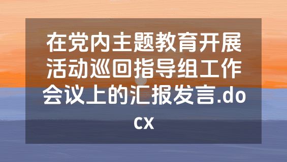 在党内主题教育开展活动巡回指导组工作会议上的汇报发言.docx