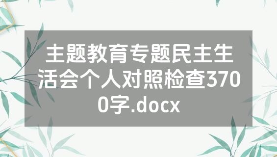 主题教育专题民主生活会个人对照检查3700字.docx
