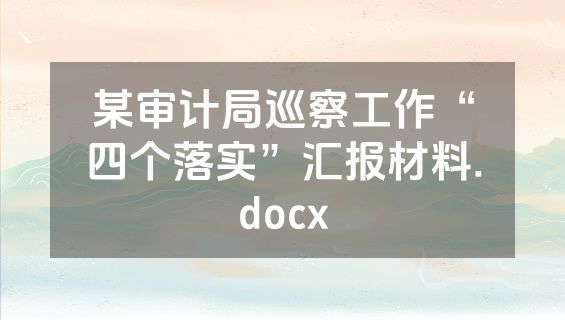 某审计局巡察工作“四个落实”汇报材料.docx