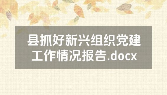 县抓好新兴组织党建工作情况报告.docx