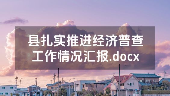 县扎实推进经济普查工作情况汇报.docx