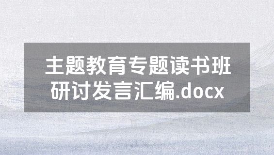 主题教育专题读书班研讨发言汇编.docx