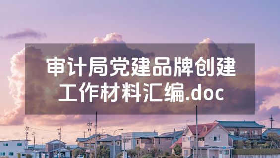 审计局党建品牌创建工作材料汇编.doc