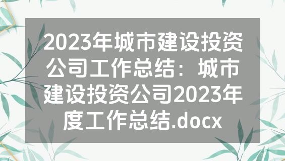 2023年城市建设投资公司工作总结：城市建设投资公司2023年度工作总结.docx