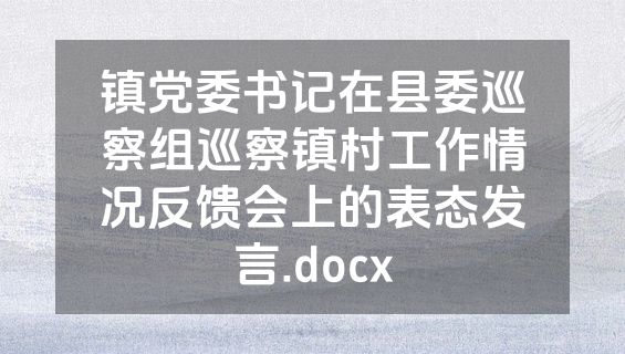 镇党委书记在县委巡察组巡察镇村工作情况反馈会上的表态发言.docx