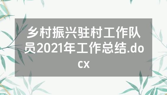 乡村振兴驻村工作队员2021年工作总结.docx