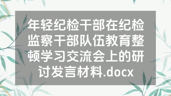 年轻纪检干部在纪检监察干部队伍教育整顿学习交流会上的研讨发言材料.docx
